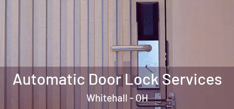 Automatic Door Lock Services Whitehall - OH