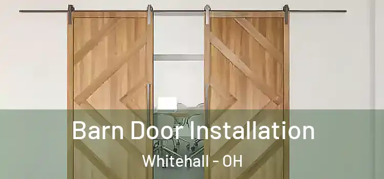  Barn Door Installation Whitehall - OH