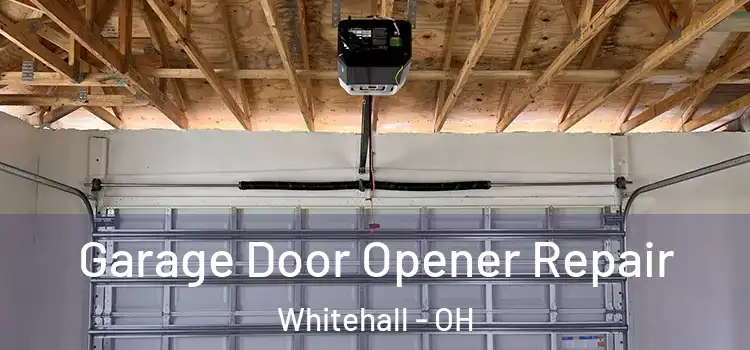  Garage Door Opener Repair Whitehall - OH