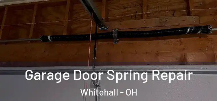  Garage Door Spring Repair Whitehall - OH