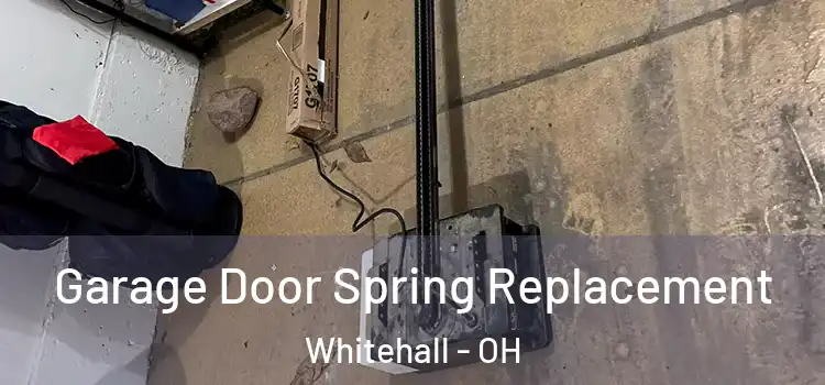  Garage Door Spring Replacement Whitehall - OH