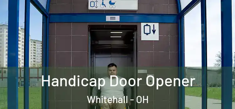  Handicap Door Opener Whitehall - OH