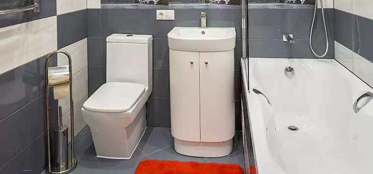 Hansgrohe Shaving Mirror Whitehall