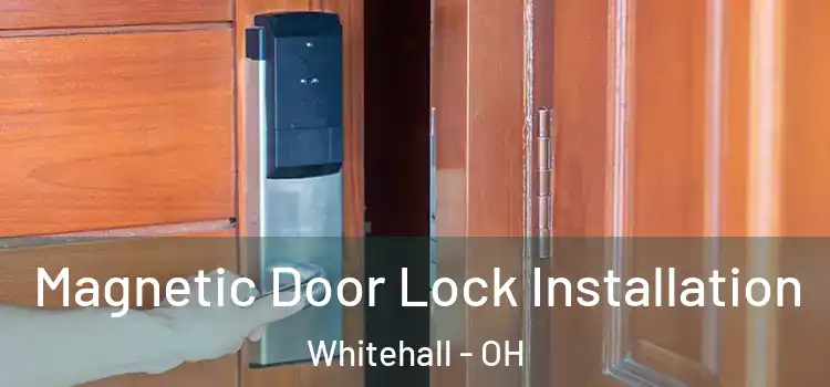  Magnetic Door Lock Installation Whitehall - OH
